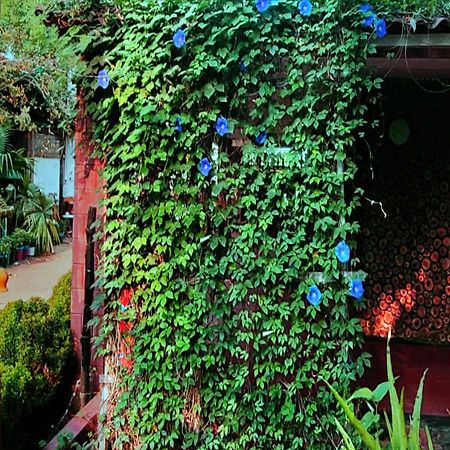 Panchobon Art Resort Shānti Niketan Dış mekan fotoğraf