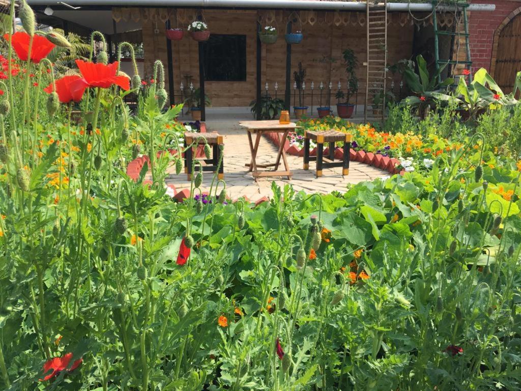 Panchobon Art Resort Shānti Niketan Dış mekan fotoğraf